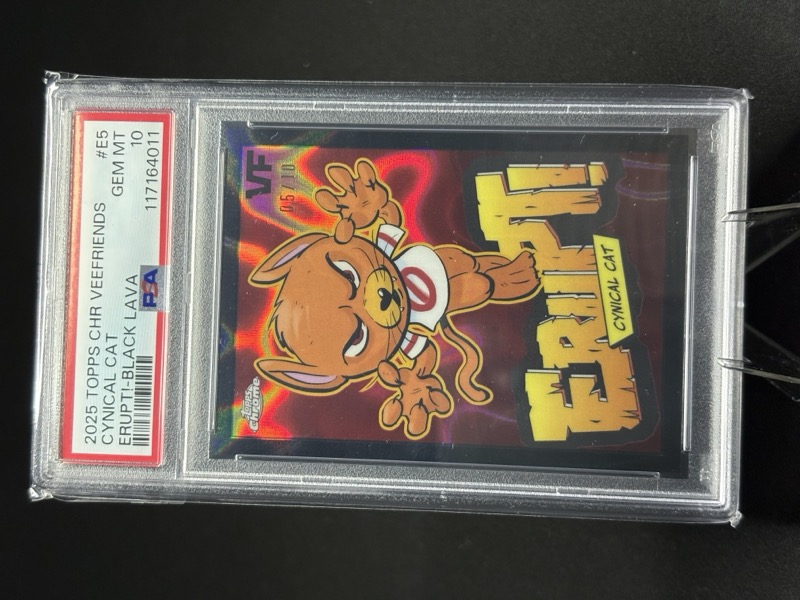 ERUPT! Card