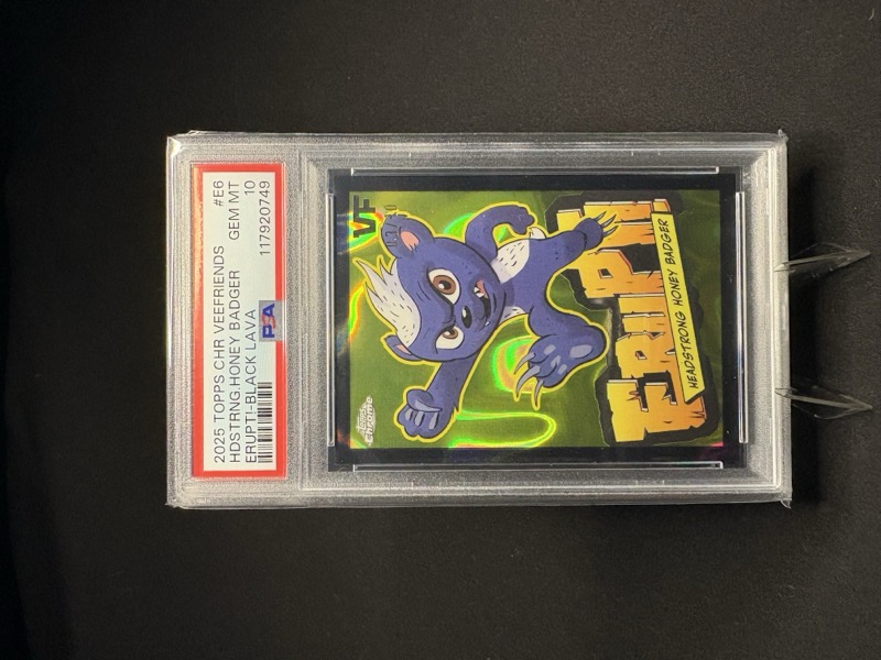 ERUPT! Card